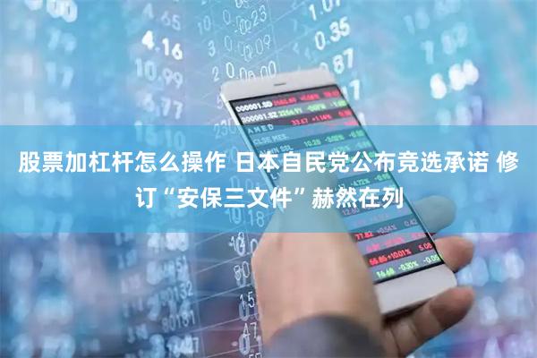 股票加杠杆怎么操作 日本自民党公布竞选承诺 修订“安保三文件”赫然在列