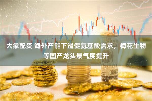 大象配资 海外产能下滑促氨基酸需求，梅花生物等国产龙头景气度提升