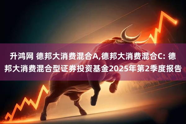 升鸿网 德邦大消费混合A,德邦大消费混合C: 德邦大消费混合型证券投资基金2025年第2季度报告