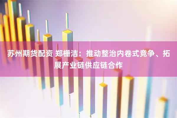 苏州期货配资 郑栅洁：推动整治内卷式竞争、拓展产业链供应链合作
