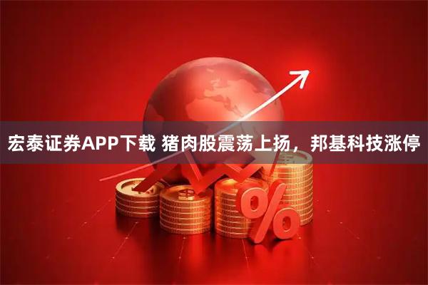宏泰证券APP下载 猪肉股震荡上扬，邦基科技涨停