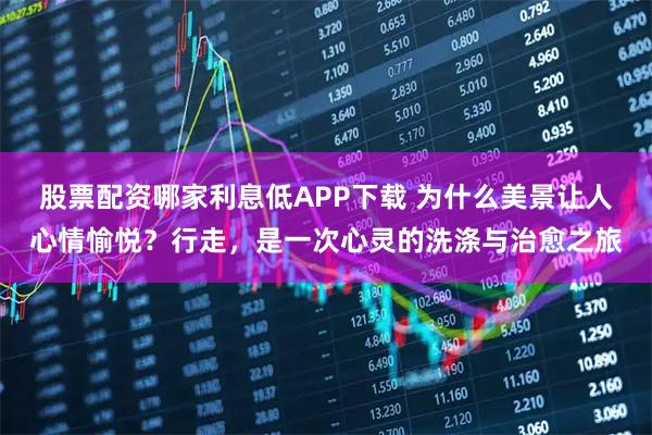 股票配资哪家利息低APP下载 为什么美景让人心情愉悦？行走，是一次心灵的洗涤与治愈之旅